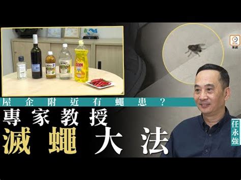 蒼蠅入屋風水|【家裡飛進鳥】家裡飛進鳥，象徵吉凶？「最常聽見」的5大迷信。